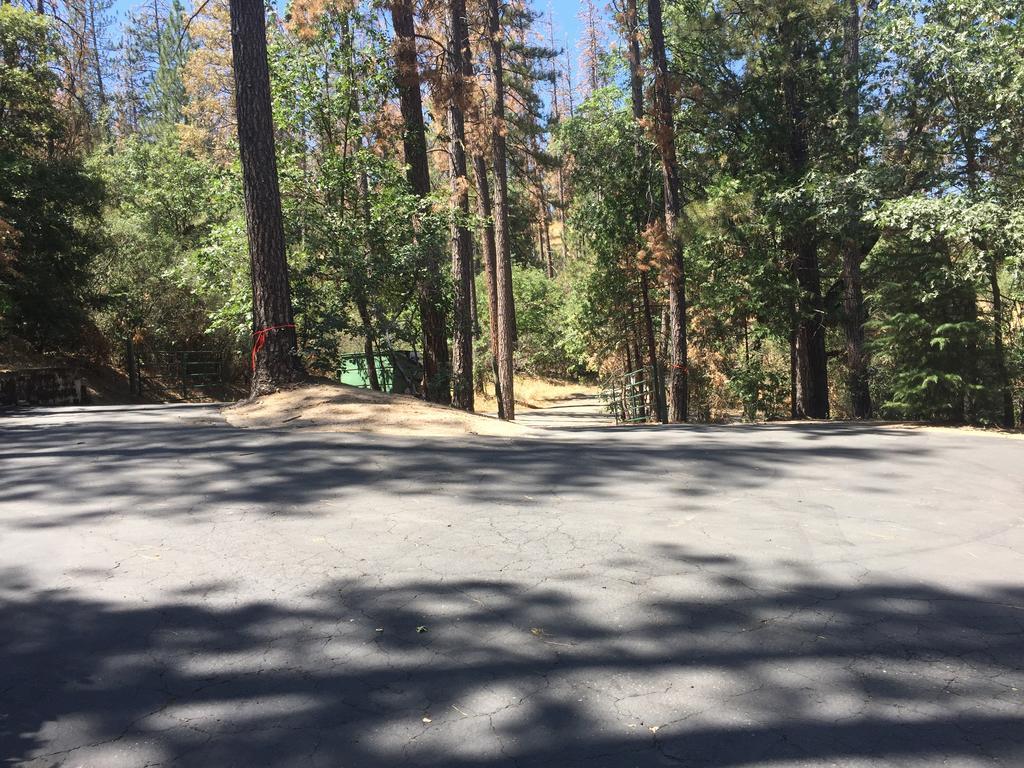 Yosemite Bass Lake Dream Cottage Esterno foto